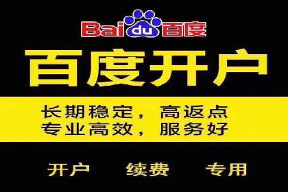百度竞价代运营实战：某电商平台的销量翻倍秘诀